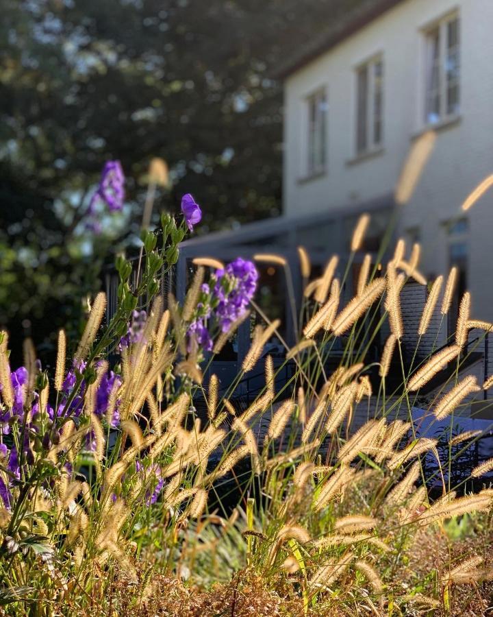 Hotel Au Nom De Dieu Dilsen Stokkem Bagian luar foto
