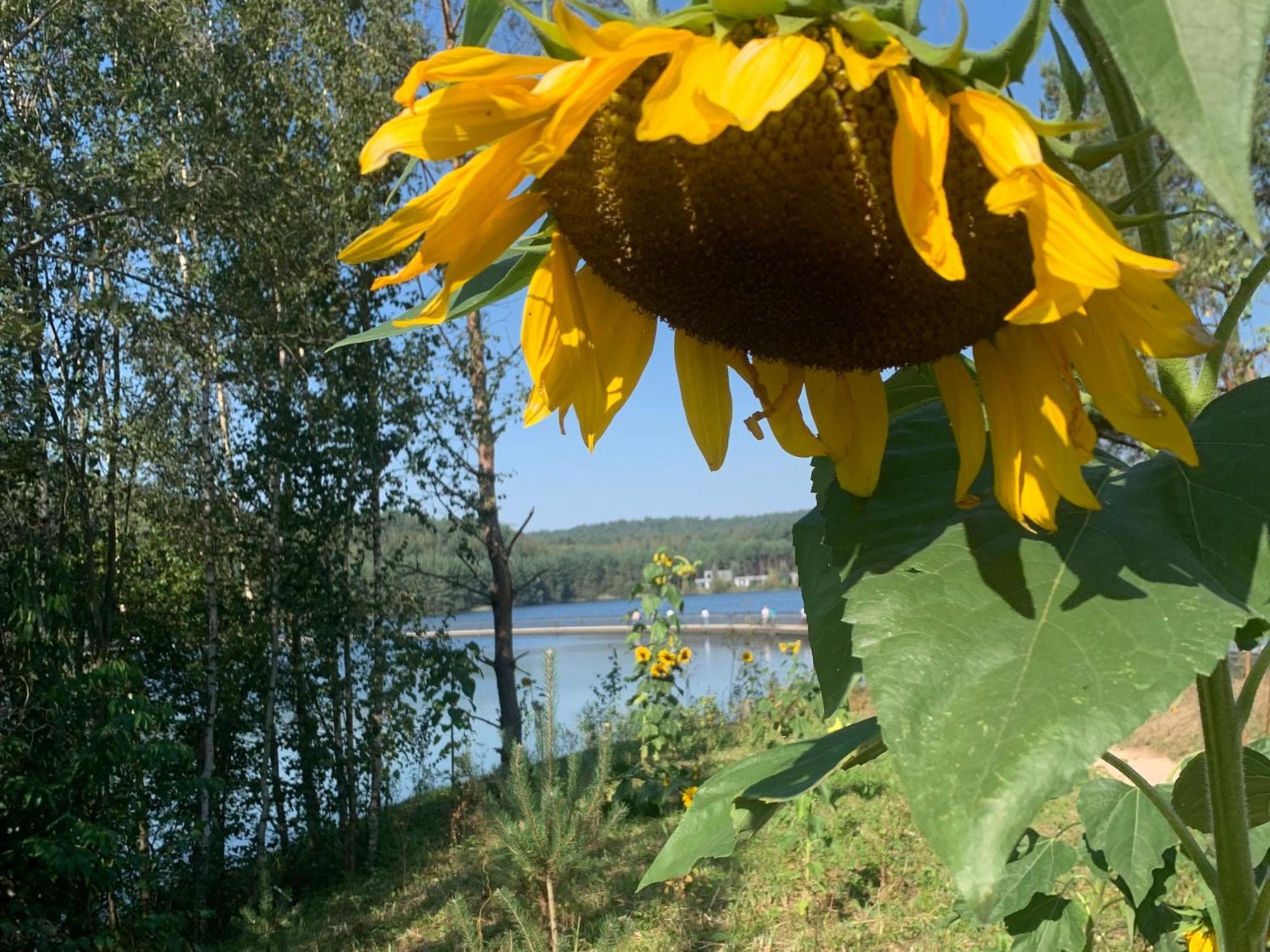 Hotel Au Nom De Dieu Dilsen Stokkem Bagian luar foto